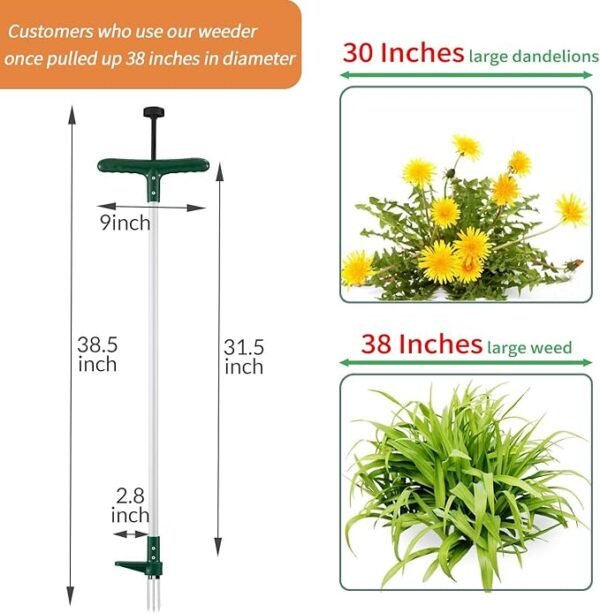 Walensee Weed Puller, Stand Up Weeder Hand Tool, Long Handle Garden Weeding tool with 3 Claws, Hand Weed Hound Weed Puller for Dandelion, Standup Weed Root Pulling Tool and Picker, Grabber (1 pack)