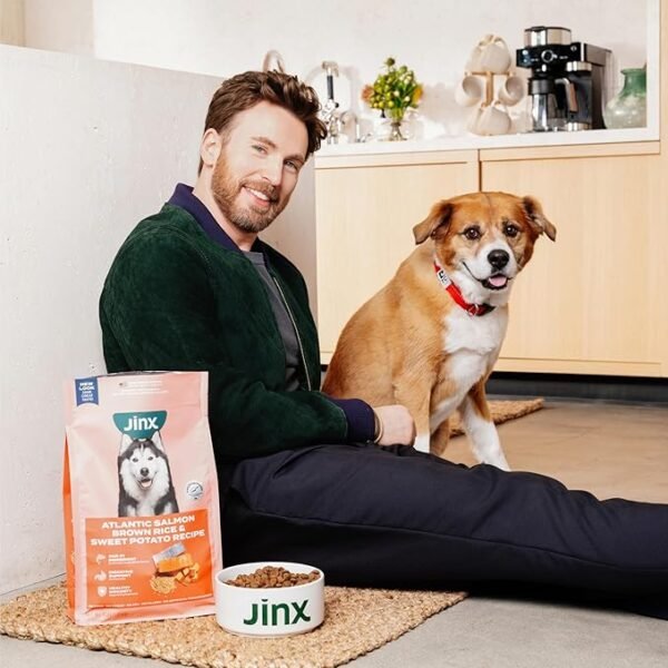 Jinx Premium Dry Dog Food, Real Salmon, Brown Rice & Sweet Potato Kibble with Superfoods & Probiotics, No Fillers, for All Lifestages, 11.5lb - Image 12